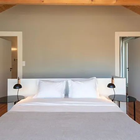 Cedofeita Deluxe 3f Daire *